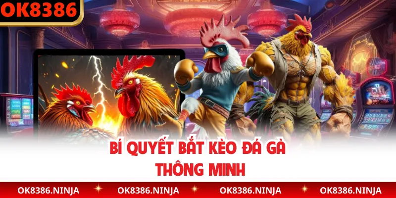 Bí quyết bắt kèo đá gà thông minh