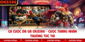 Cá Cược Đá Gà OK8386 - Cược Thắng Nhận Thưởng Tức Thì