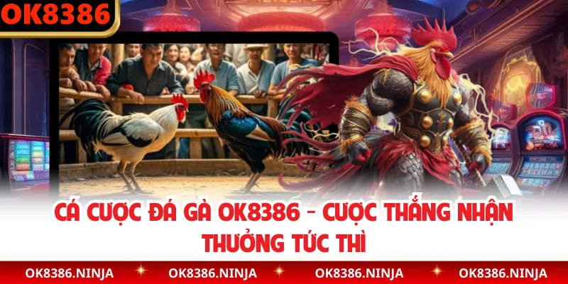 Cá Cược Đá Gà OK8386 - Cược Thắng Nhận Thưởng Tức Thì