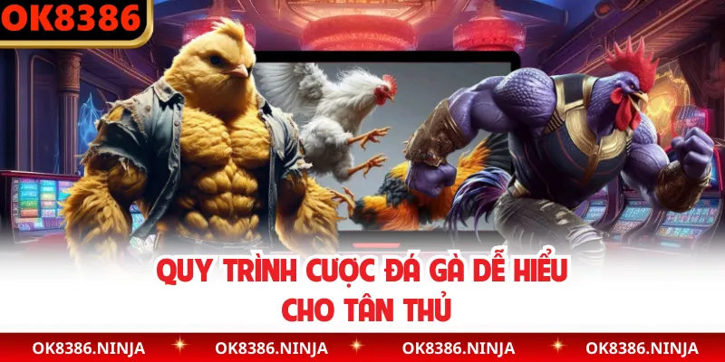 Quy trình cược đá gà dễ hiểu cho tân thủ