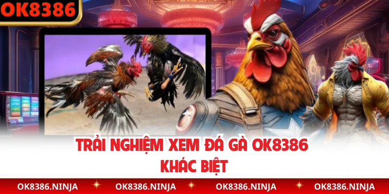 Trải nghiệm xem đá gà OK8386 khác biệt